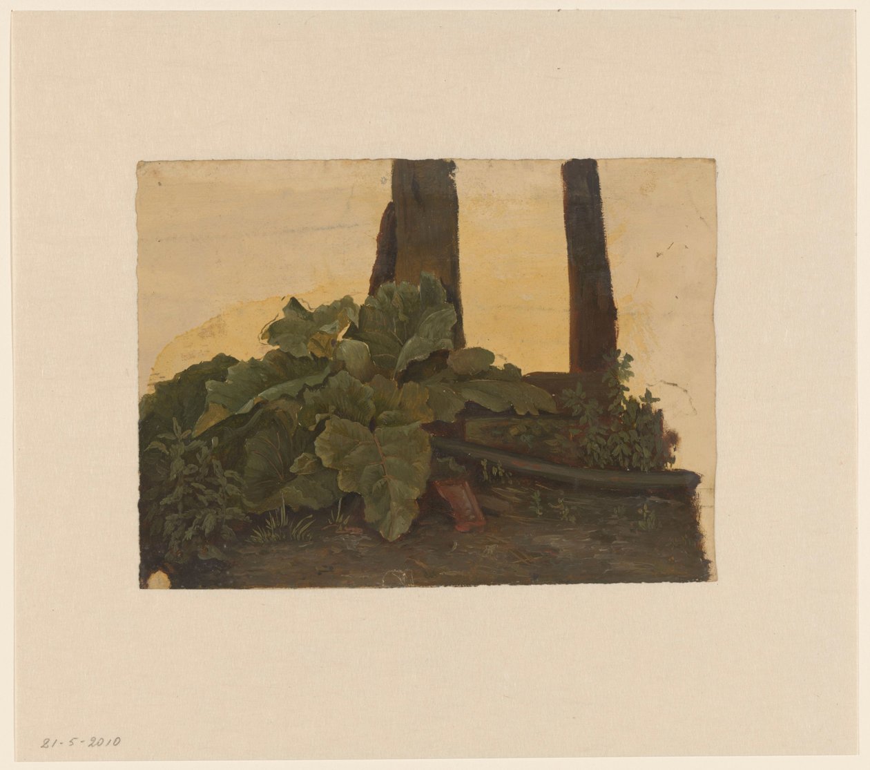 Plants at the Foot of a Tree Trunk by Cornelis Johannes de Vogel