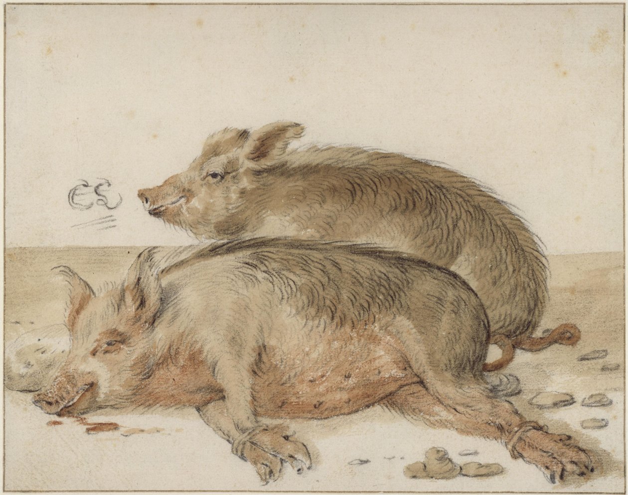 Two Pigs by Cornelis Saftleven