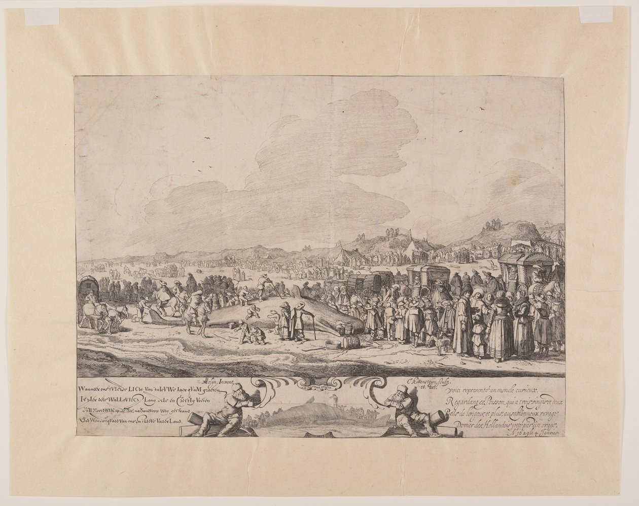 The Cachalot Stranded between Noordwijk and Zandvoort by Cornelis van Kittensteyn