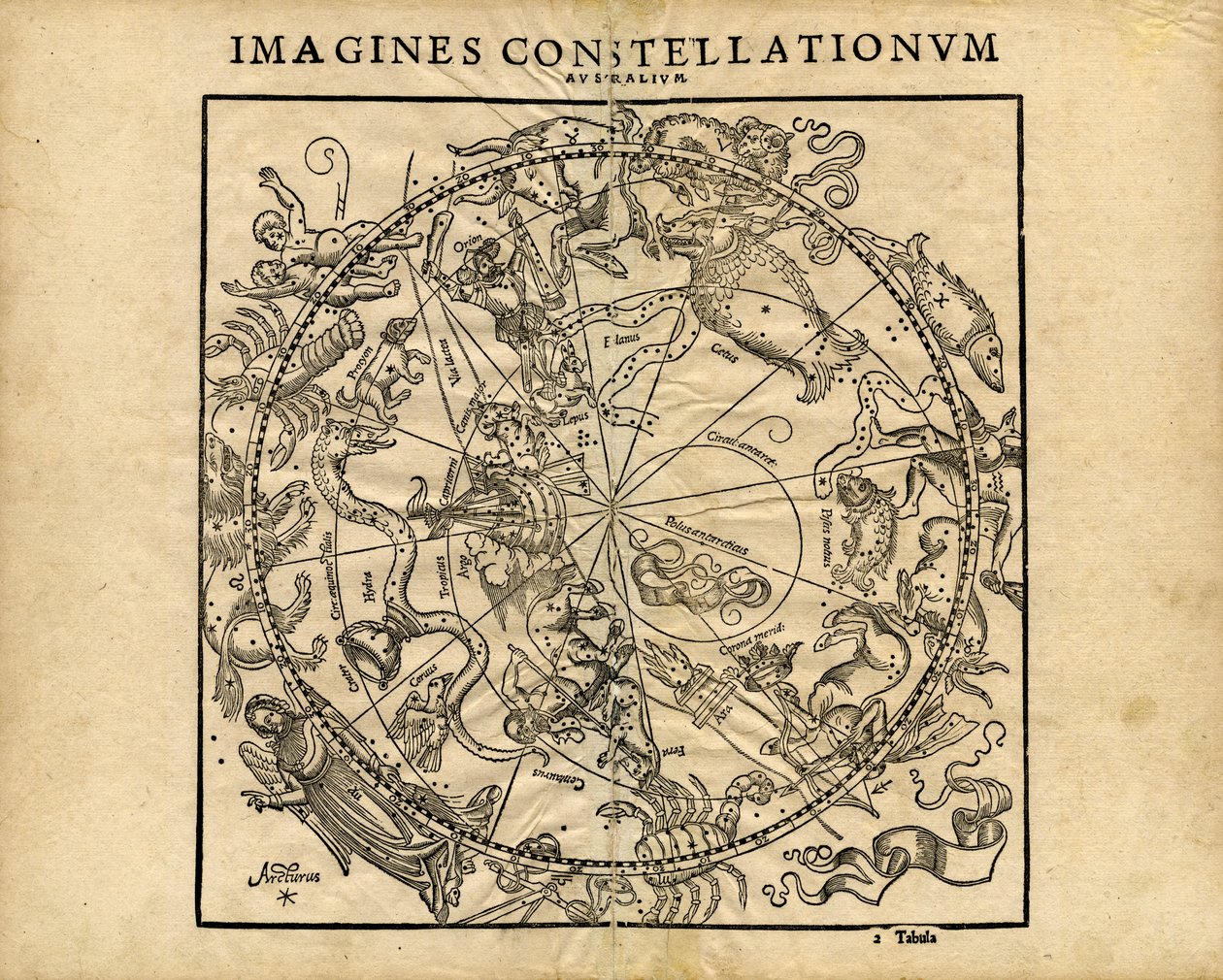 Southern Celestial Planisphere