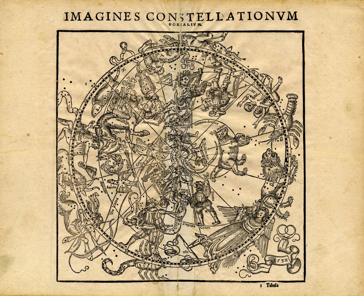 Northern Celestial Planisphere by Coronensis & Petri Heinrich Honter