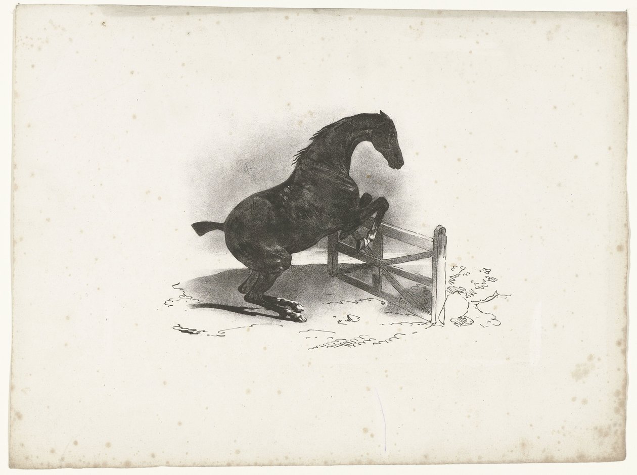 Horse Jumping Over a Fence by Courtin
