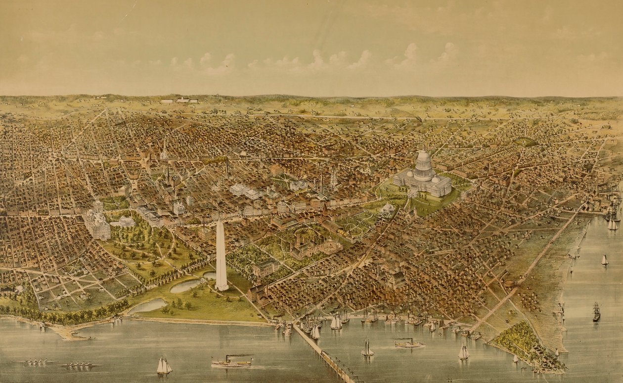 City of Washington (Bird