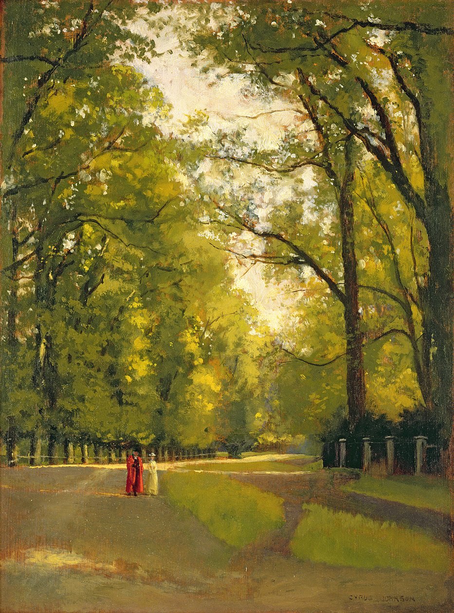 Backs of the Colleges, Cambridge by Cyrus Johnson