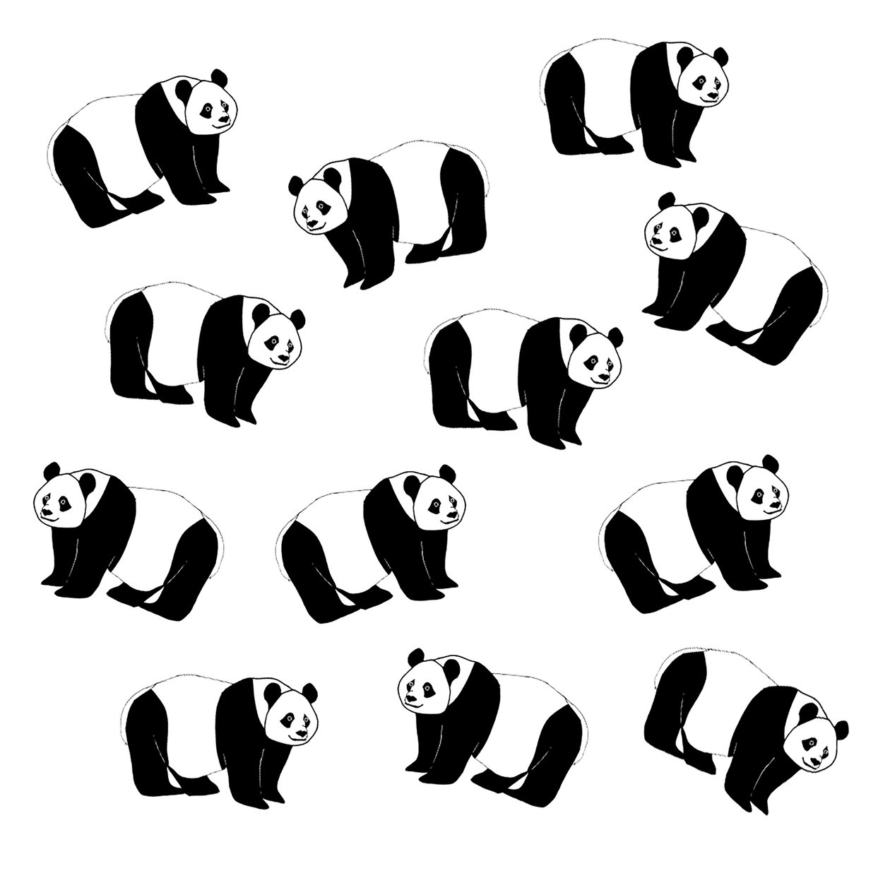 Pandas, 2024 by Daisy de Villeneuve: Buy fine art print