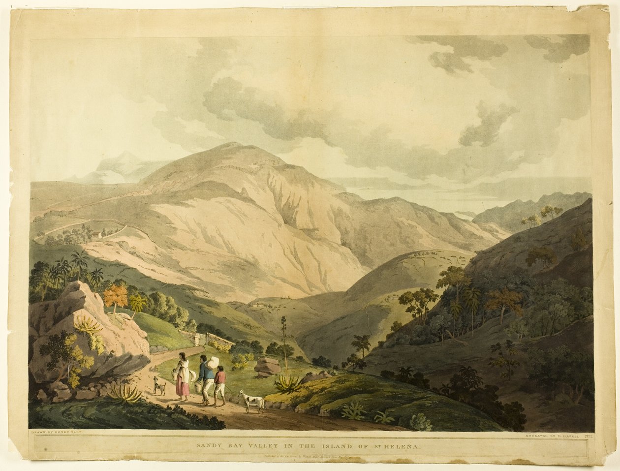 Sandy Bay Valley, St. Helena by Daniel Havell