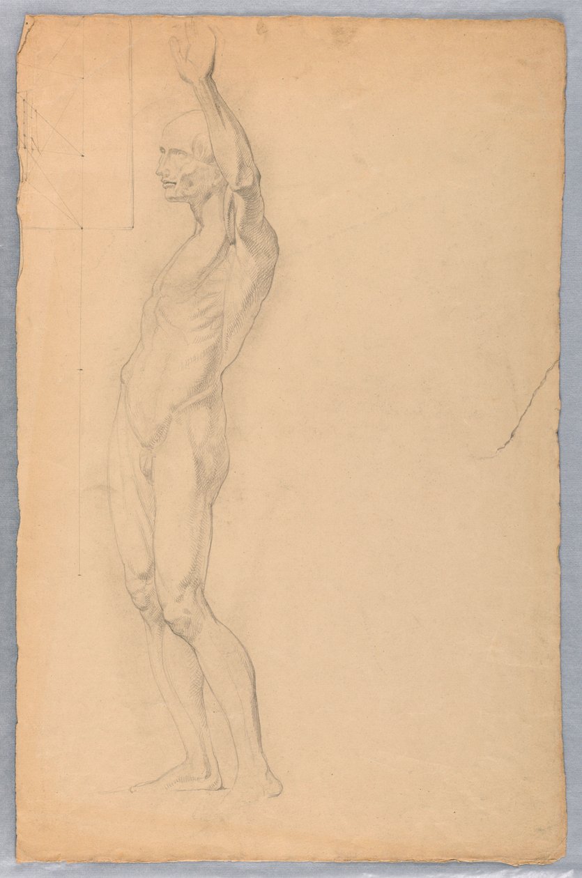 Anatomical Study of Male, ca. 1850 by Daniel Huntington