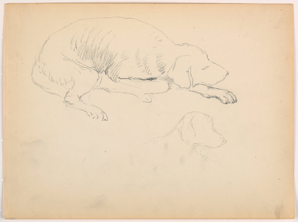 Milo (a Pointer), Two Studies, ca. 1862 by Daniel Huntington