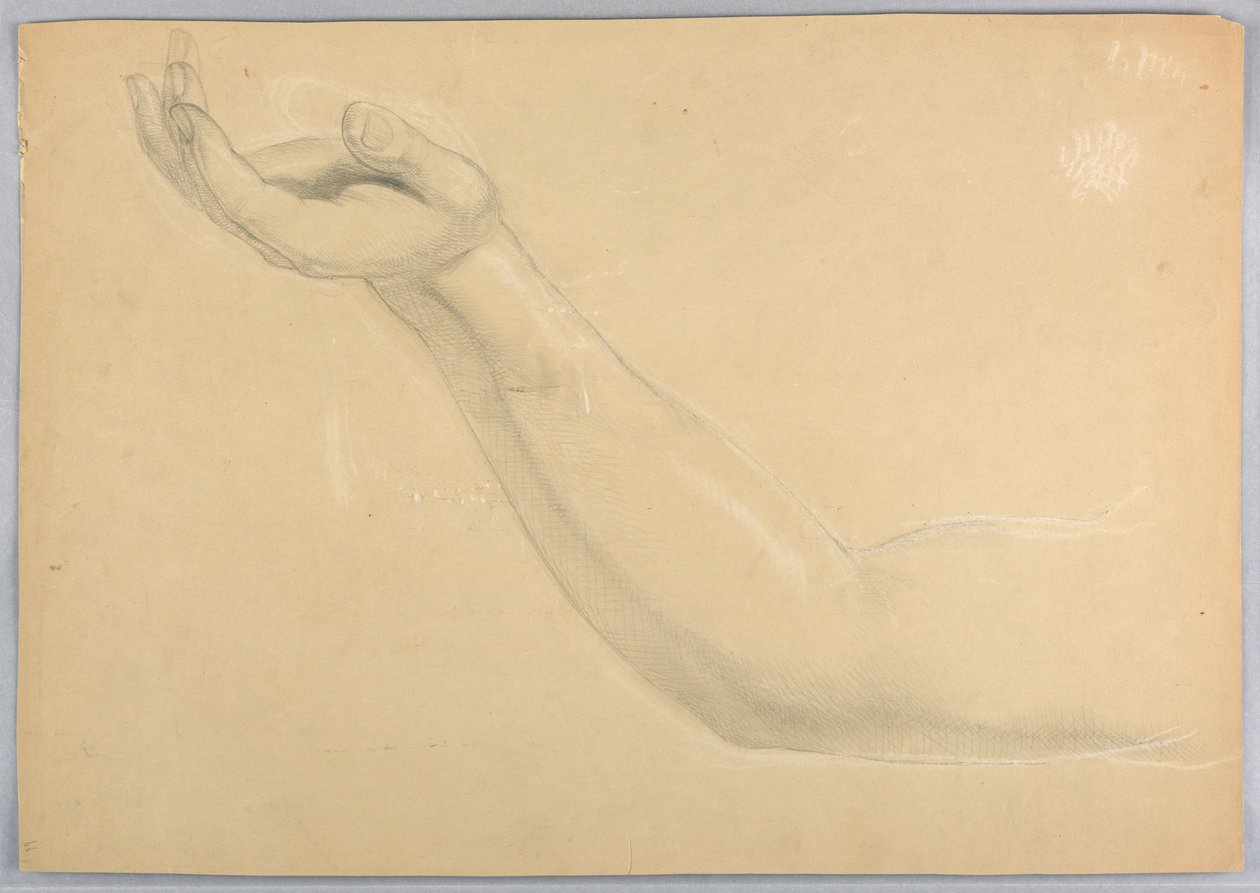 Study for Duplicate of 