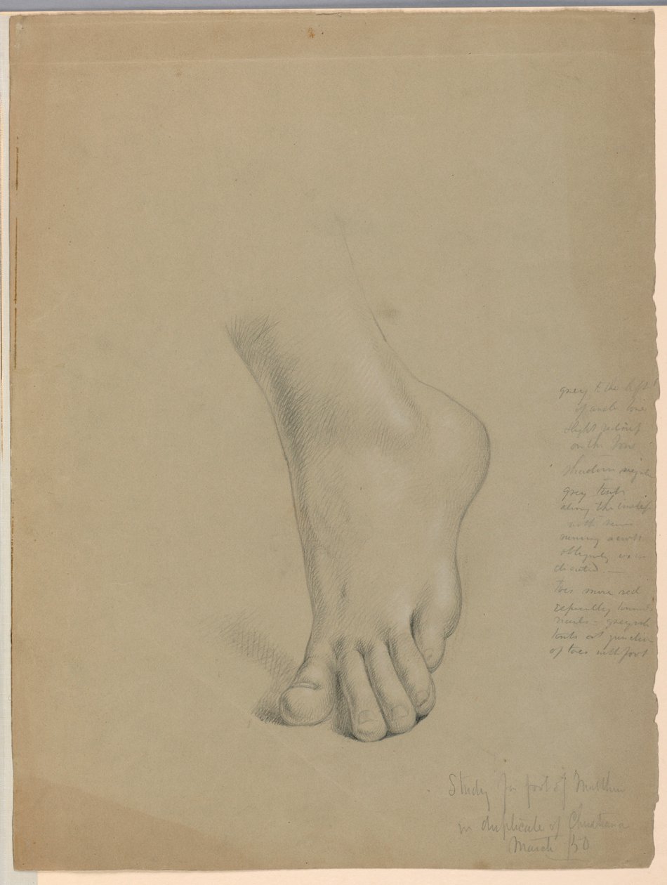 Study for Duplicate of 