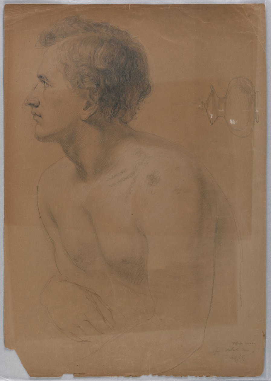 Study for 