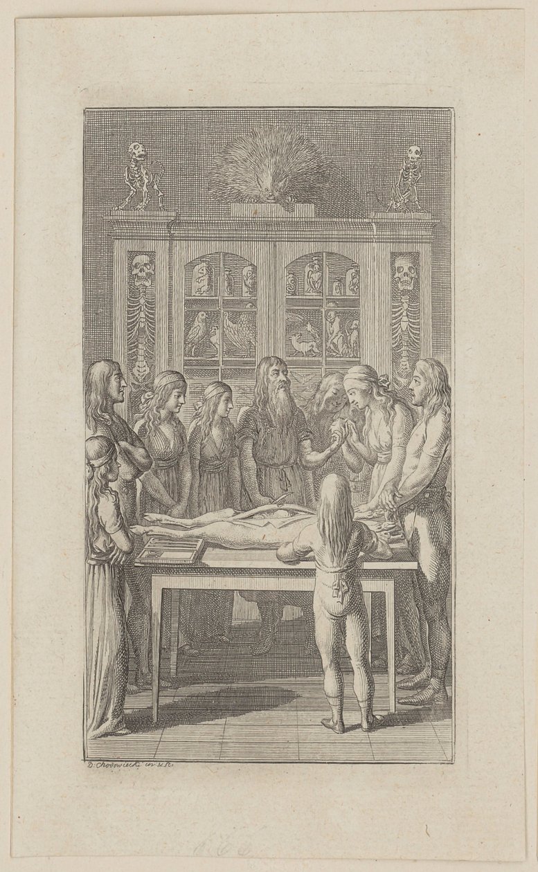 Anatomical Institute by Daniel Nikolaus Chodowiecki