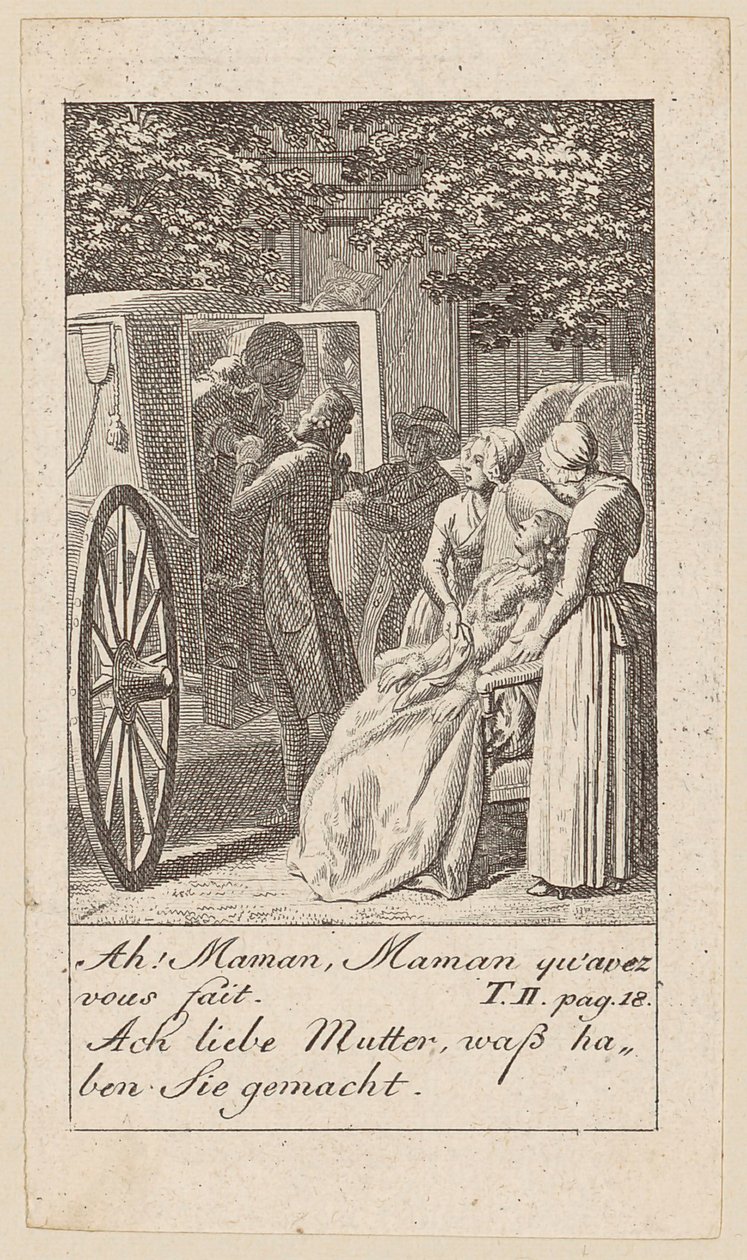Plate 6 to 