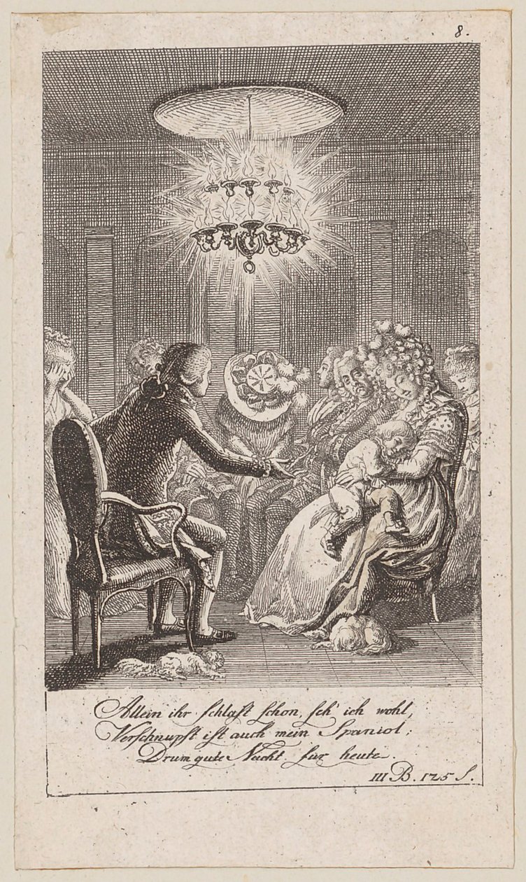 Plate 8 to Blumauer