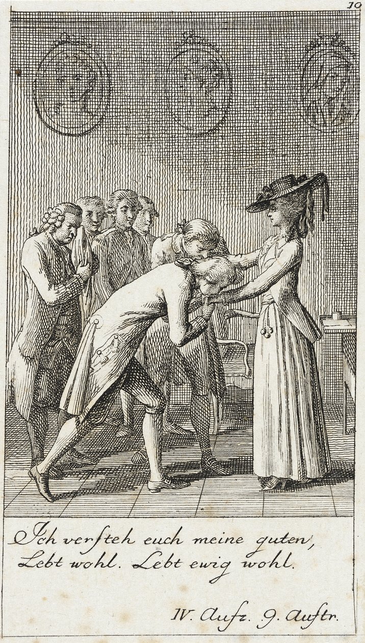 Plate 10 for Schiller