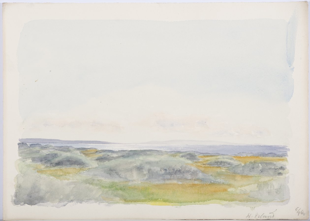 1916 by Daniel Oliver