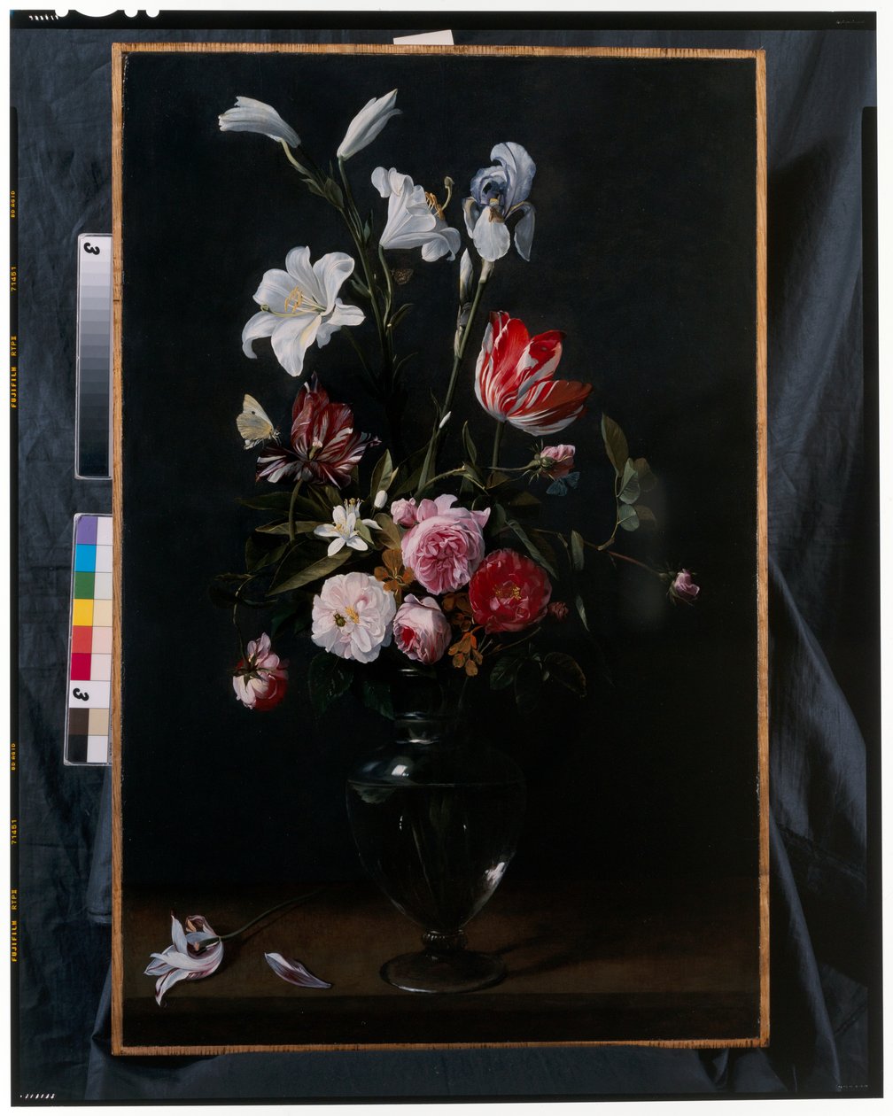 Swags of Roses, Tulips, Daffodils and other Flowers Suspended from Blue Ribbons by Daniel Seghers