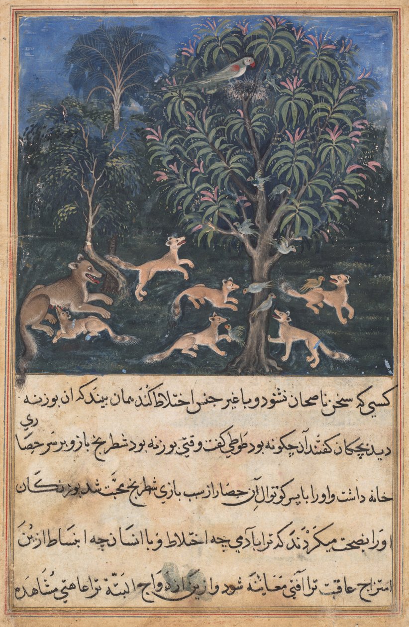 Page from Tales of a Parrot Tuti-nama: Fifth night: The parrot mother cautions by Daswanth