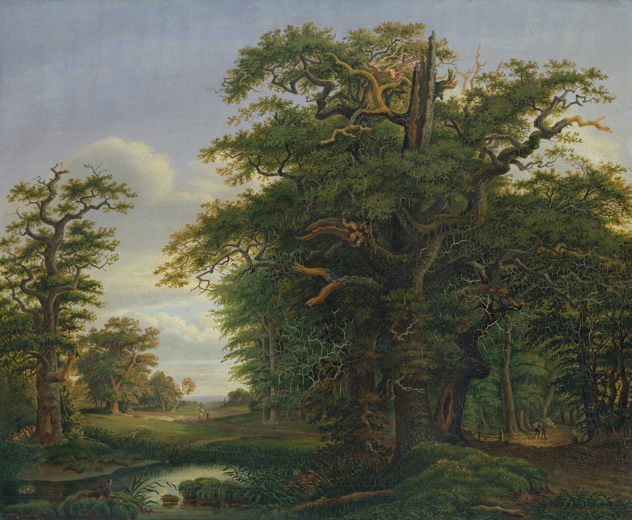 Oak Wood, 1847 by David Christopher Mettlerkamp