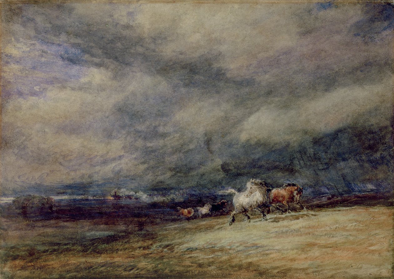 The Night Train by David Cox