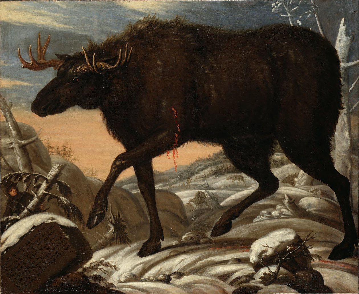 Moose by David Klöcker Ehrenstrahl