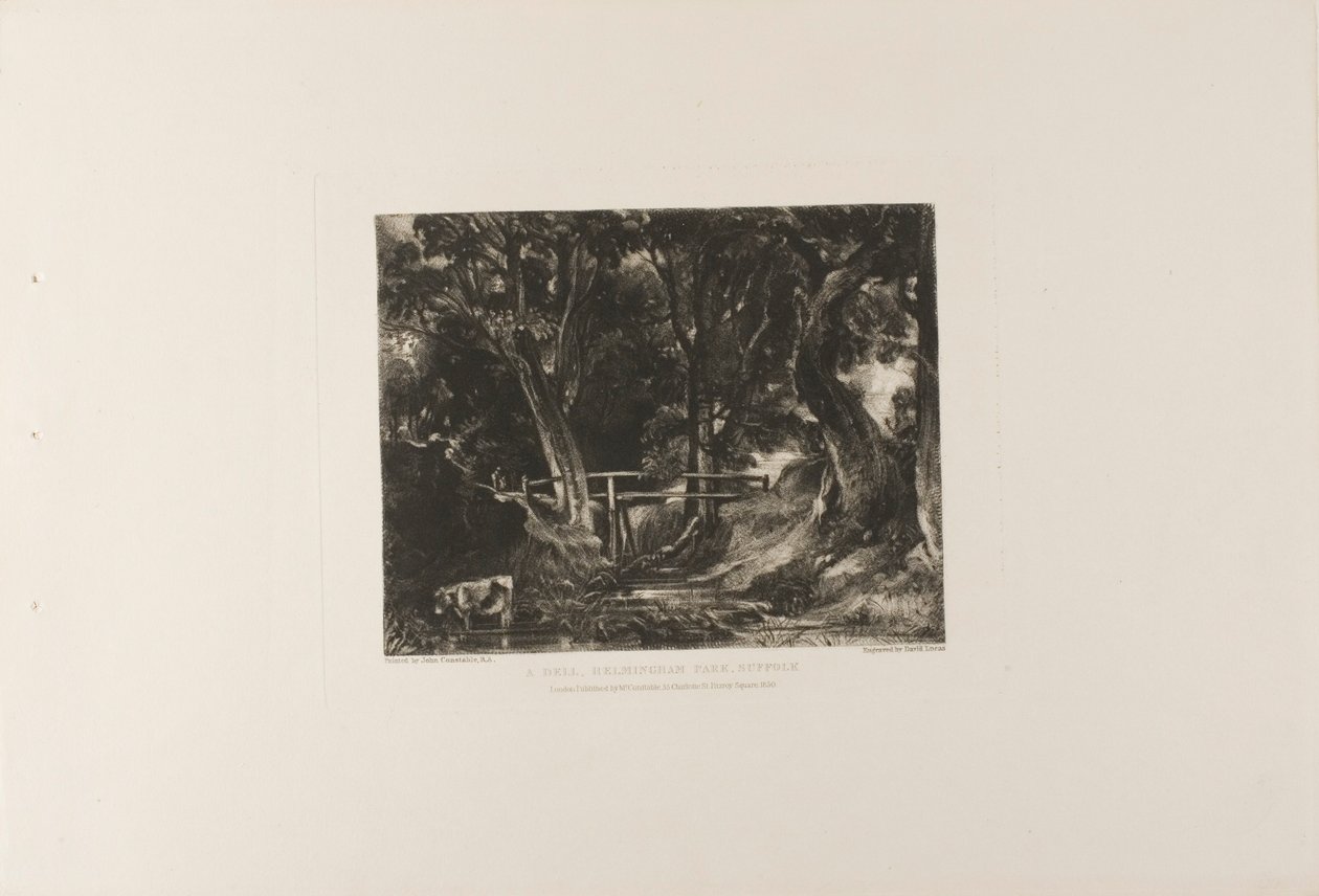 A Dell, Helmingham Park, Suffolk by David Lucas