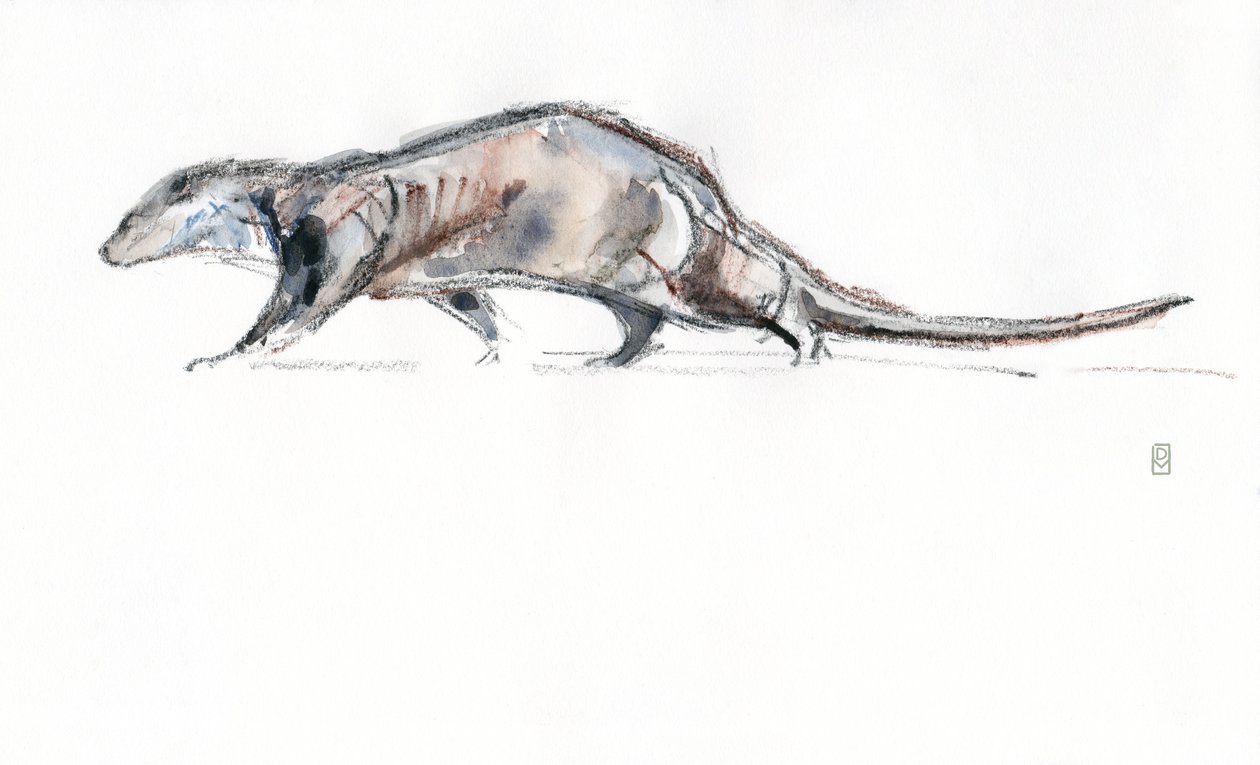 Otter Running, 2022 by David Mayer