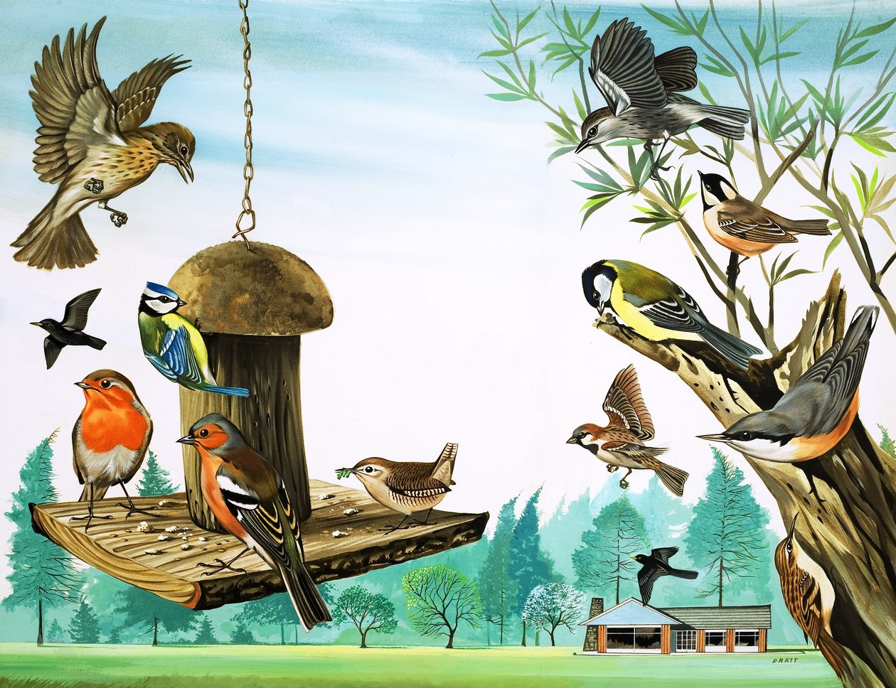 All Sorts of Birds Around the Garden Table, illustration from 