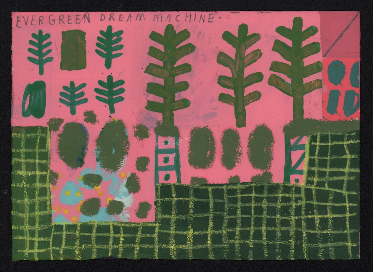 Evergreen by David Shillinglaw