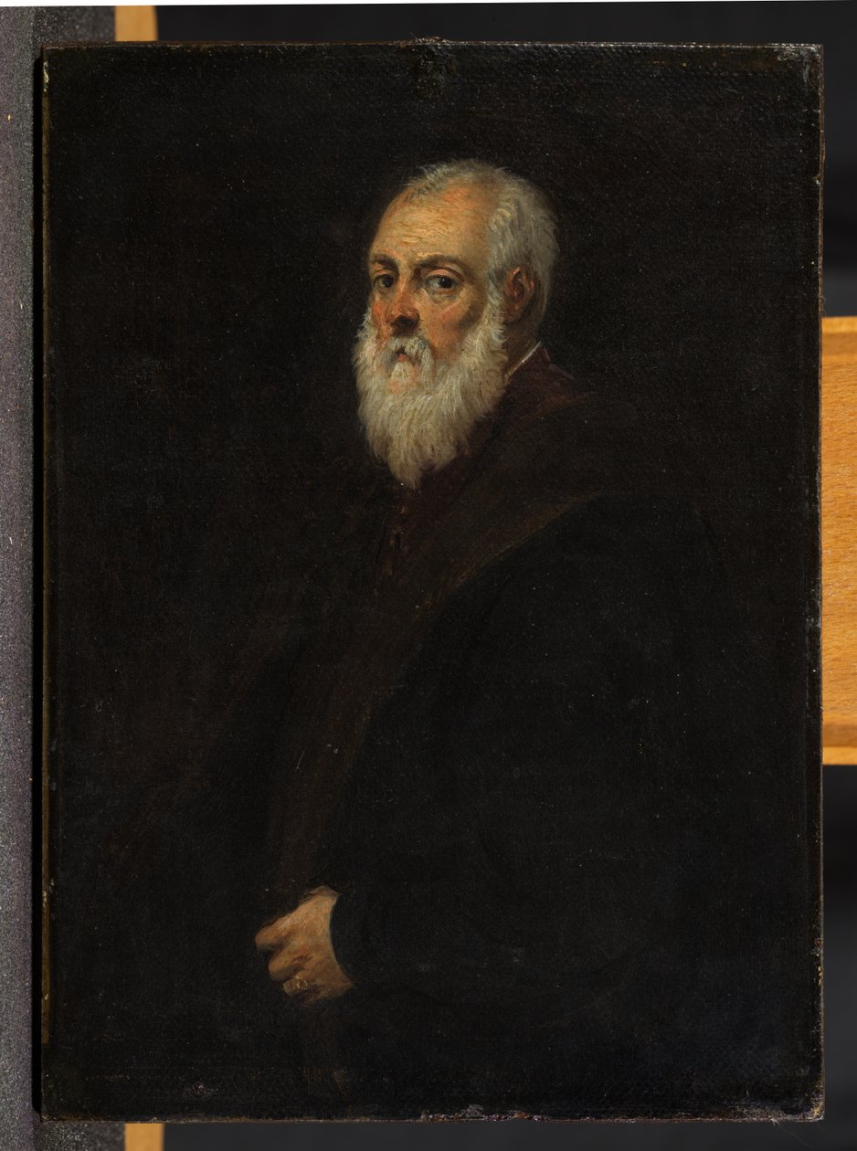 Portrait of a Bearded Man (after Jacopo Tintoretto) by David Teniers the Younger