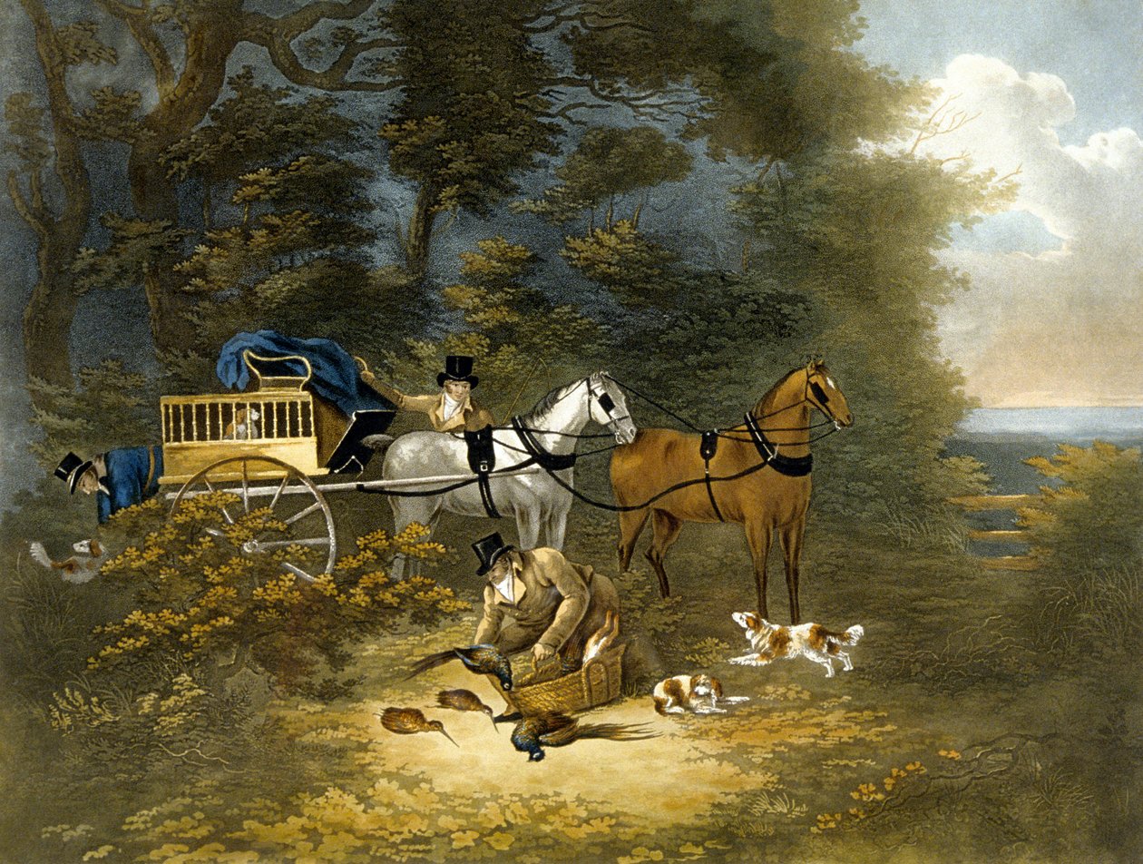 Shooting, plate 4 (engraved by R.G. Reeve) by Dean Snr. (after) Wolstenholme