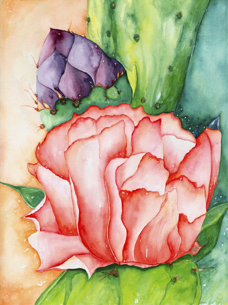 Desert Bloom, 2007 by Deborah Eve Alastra