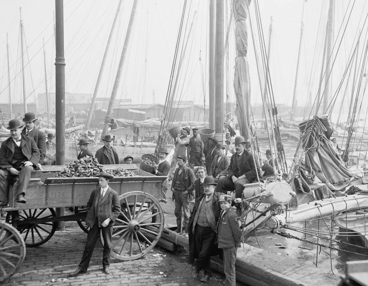 Unloading oyster luggers, Baltimore, Maryland by Detroit Publishing Co.