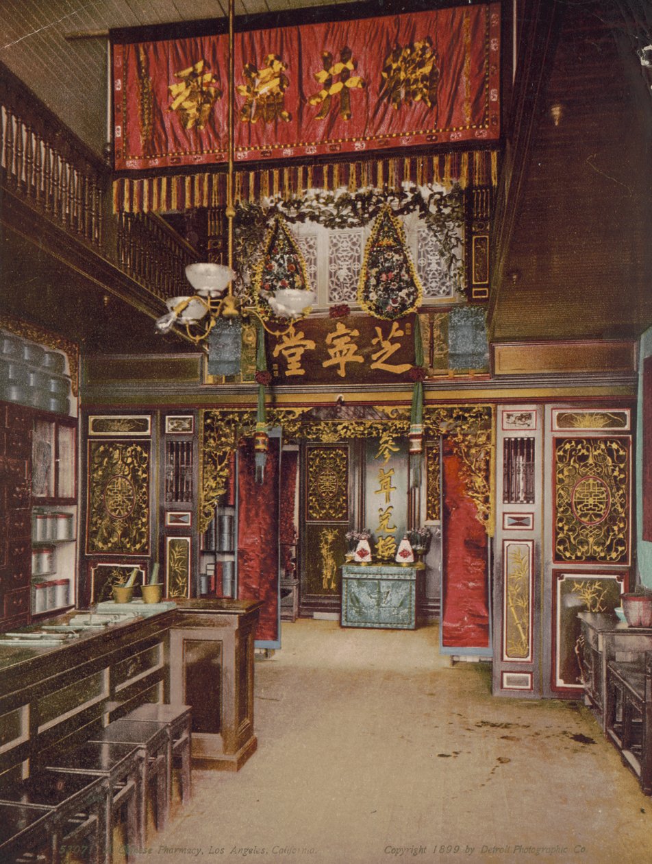 Chinese pharmacy, Los Angeles, California by Detroit Photographic Co.