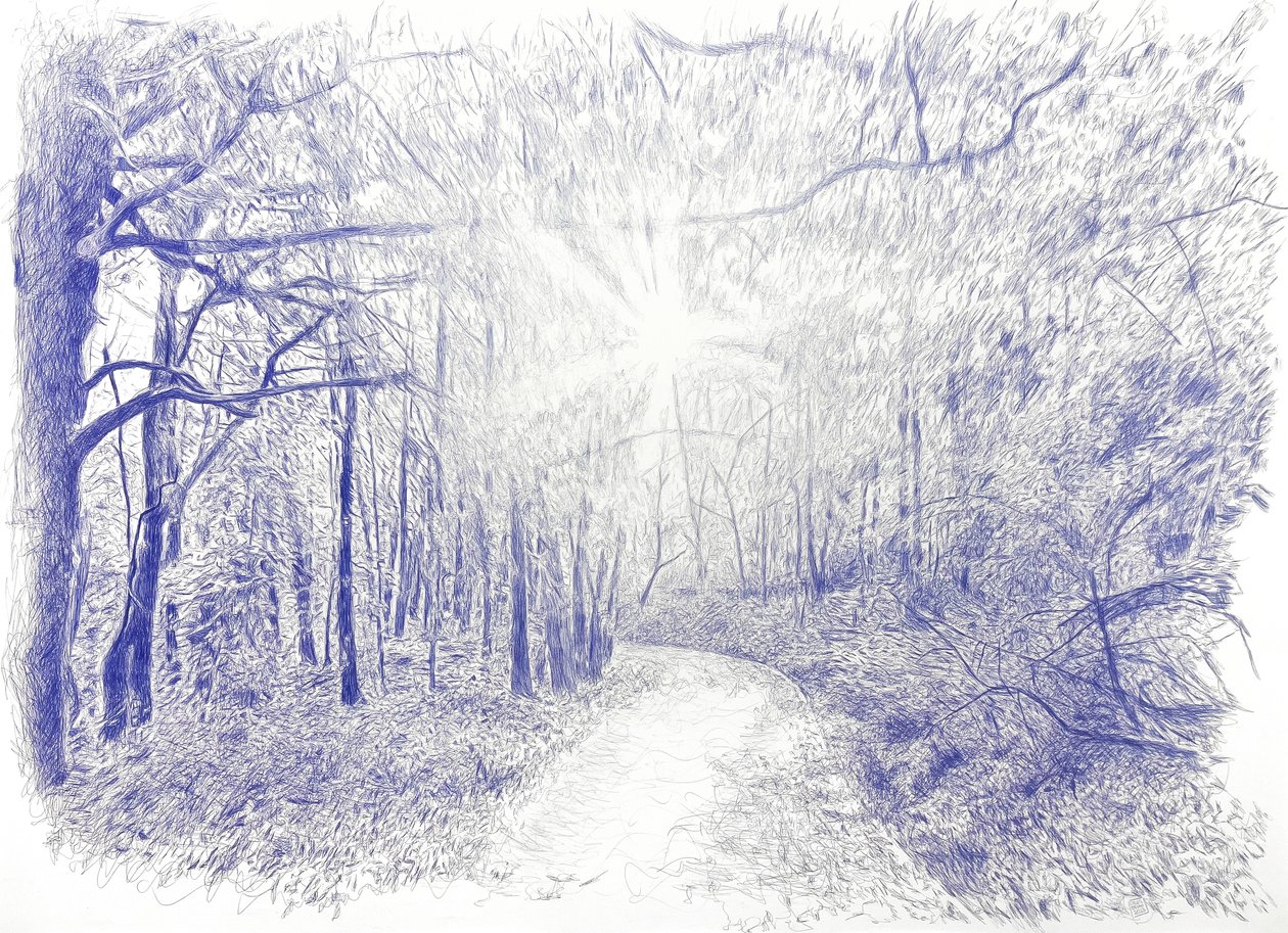 Forest in Backlight, 2023 by Diego Beyro