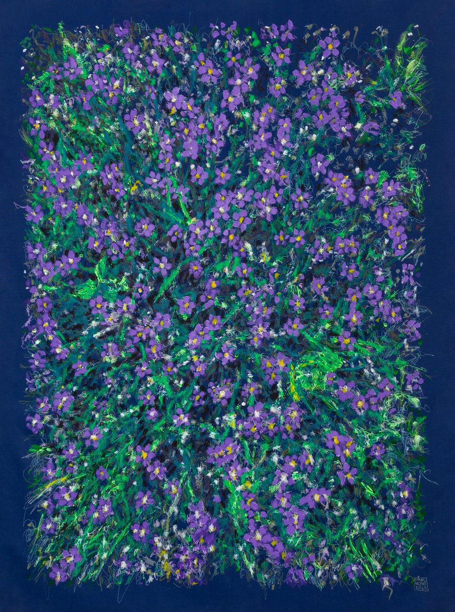 Beautiful Lesser Centaury Near Aldeanueva del Camino, 2025 by Diego Beyro