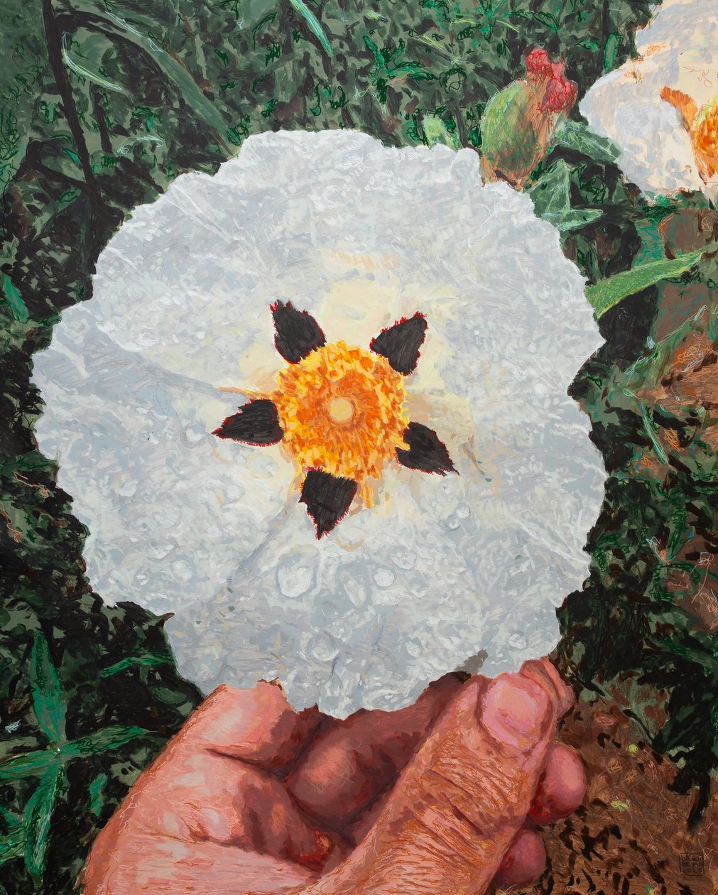 My Hand Holding a Jara Near Aljucén, 2025 by Diego Beyro