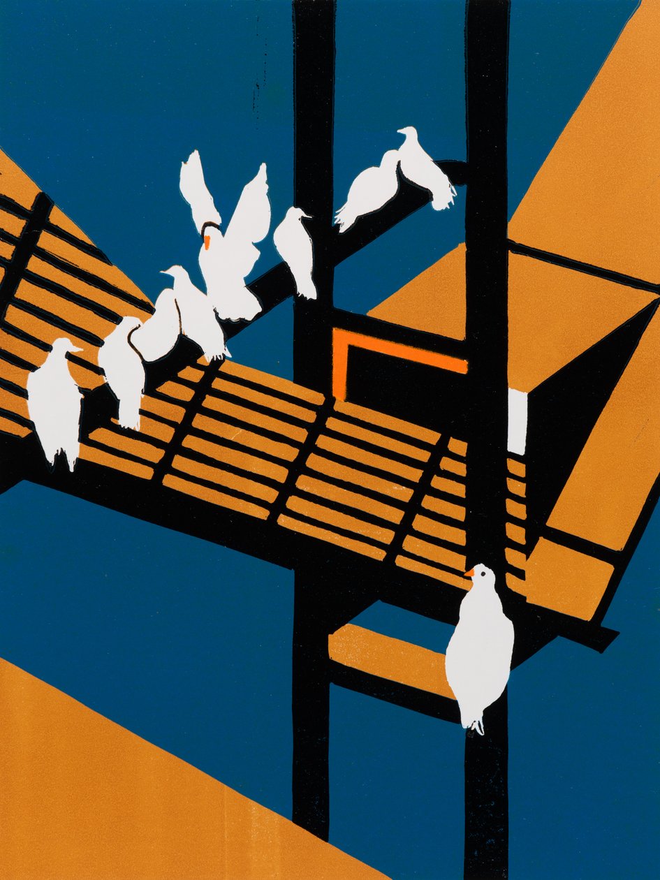 Harbour Doves by Dione Verulam