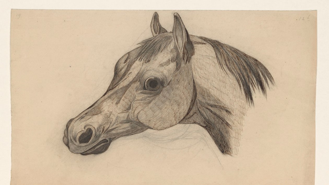 Head of a Horse, Facing Left by Dirk Arnoldus Tavenraat