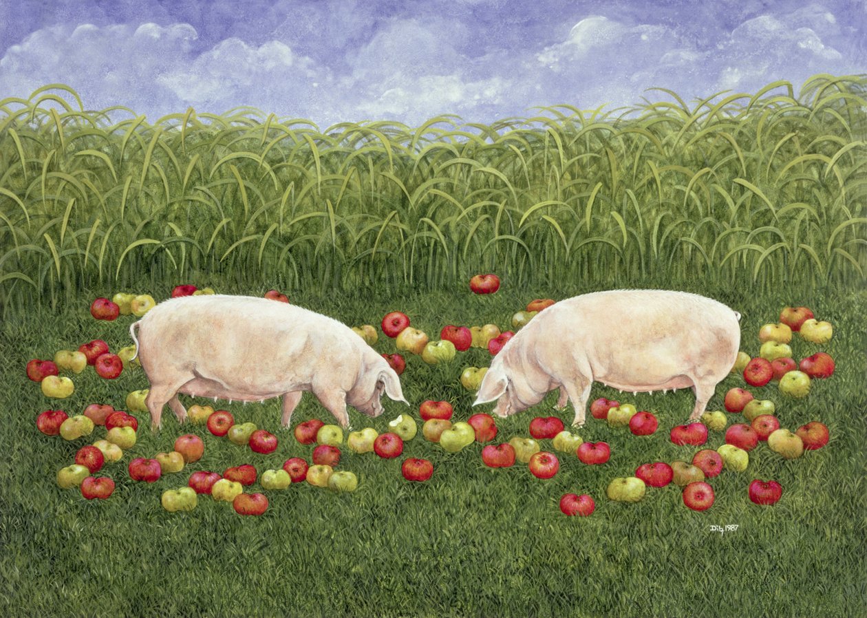 Apple-sows by Ditz
