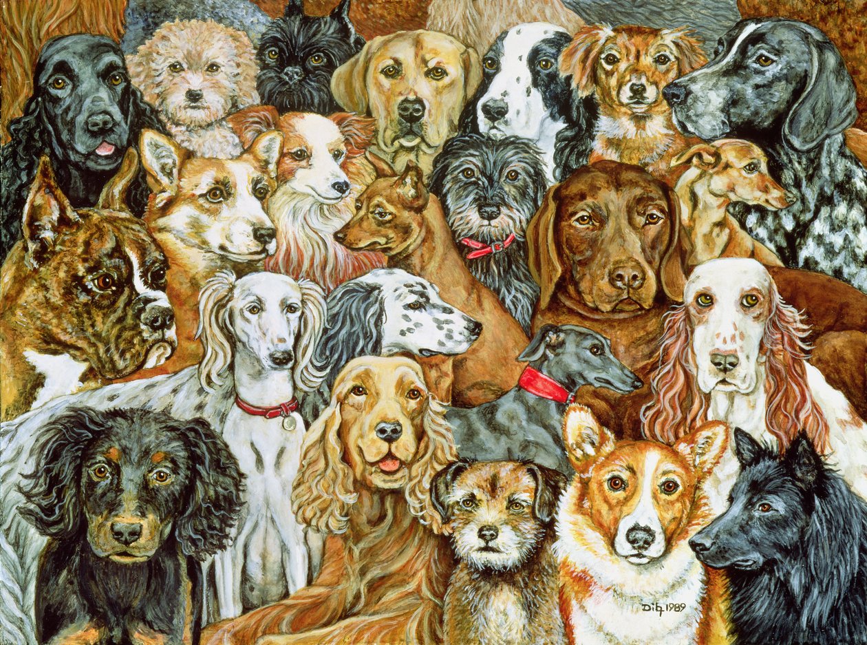 Dog Spread, 1989 by Ditz: Premium art reproduction