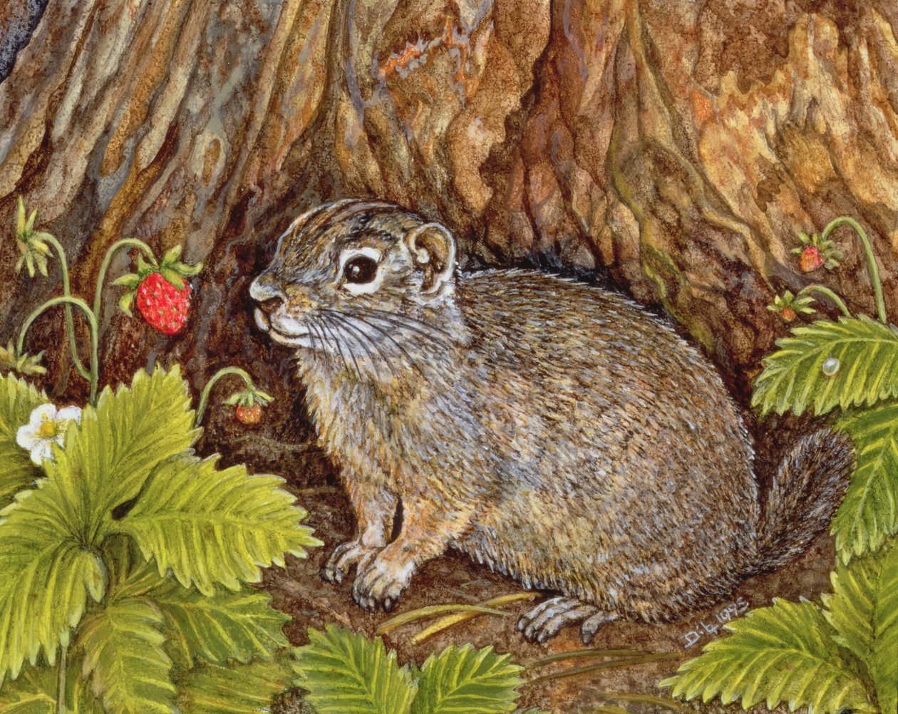 Eagle Creek, Wild Strawberry, Ground Squirrel by Ditz
