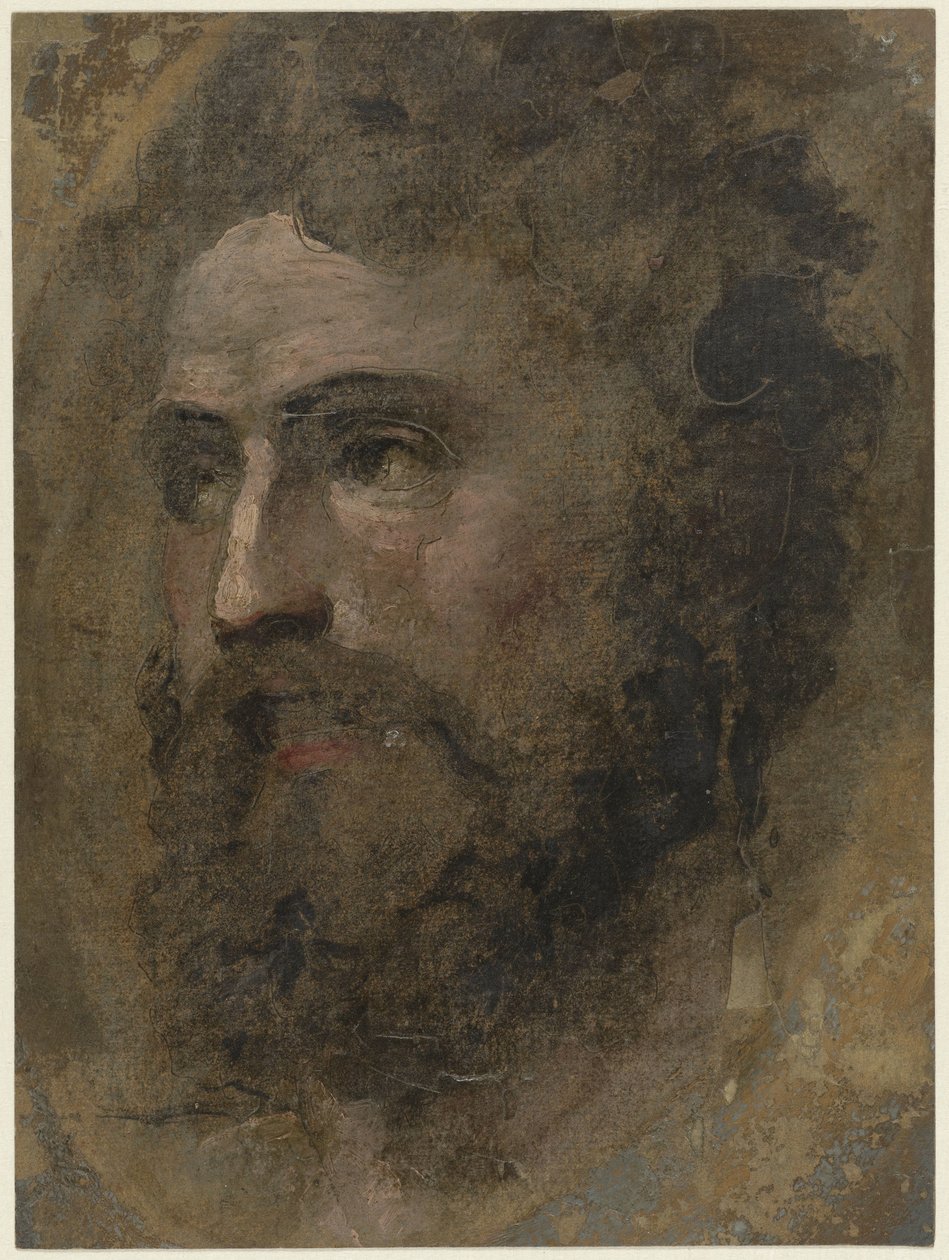 Head of a Man with Curly Hair, Facing Left by Domenico Beccafumi