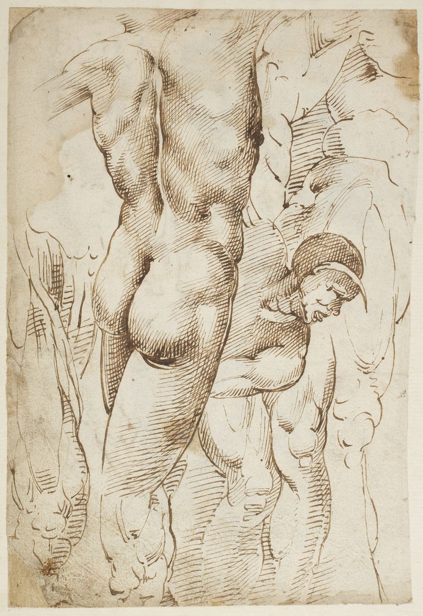 Studies of Legs and Male Nudes by Domenico Beccafumi