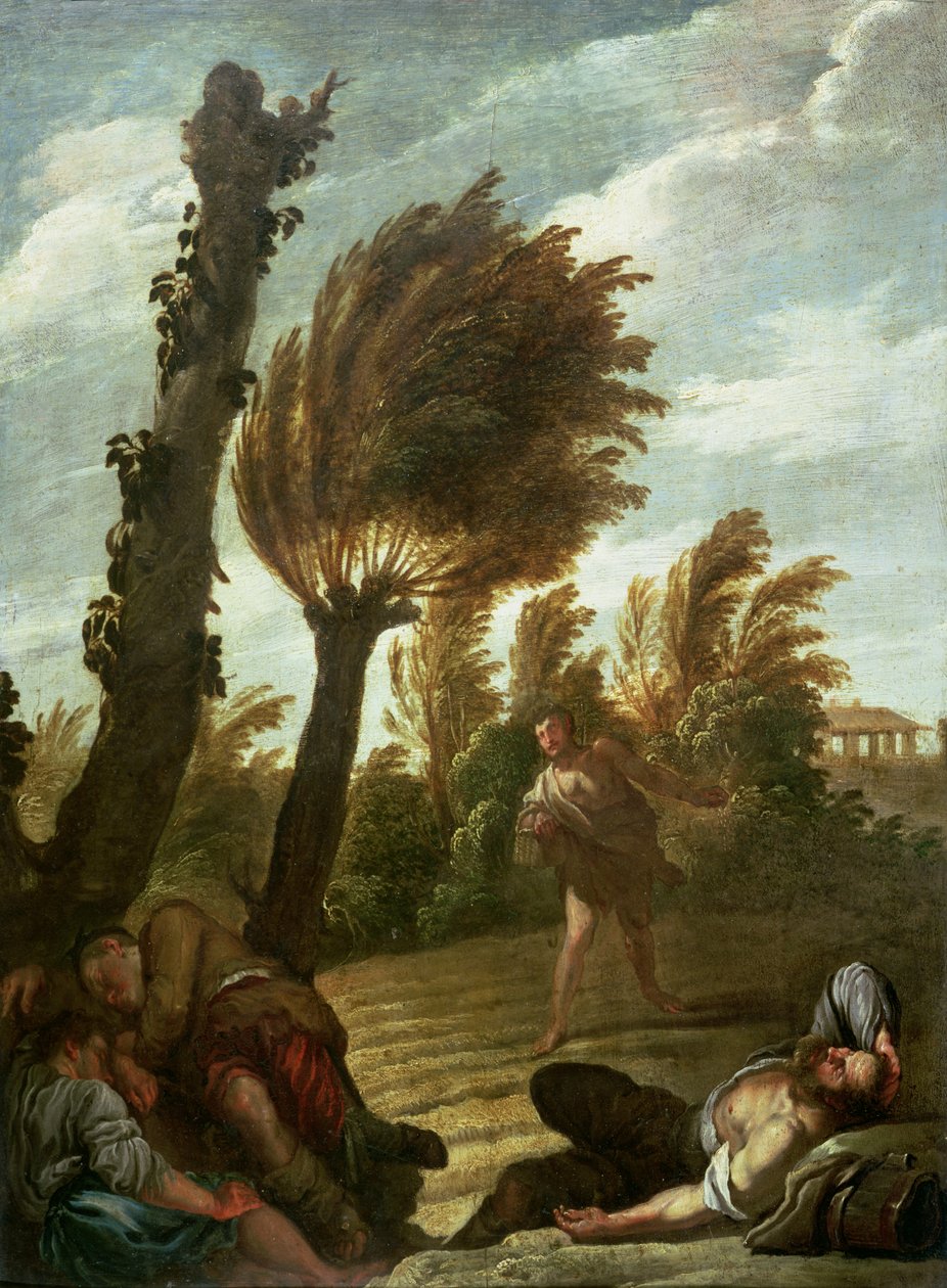 Parable of the Sower of Tares, c.1620-21 by Domenico Fetti or Feti