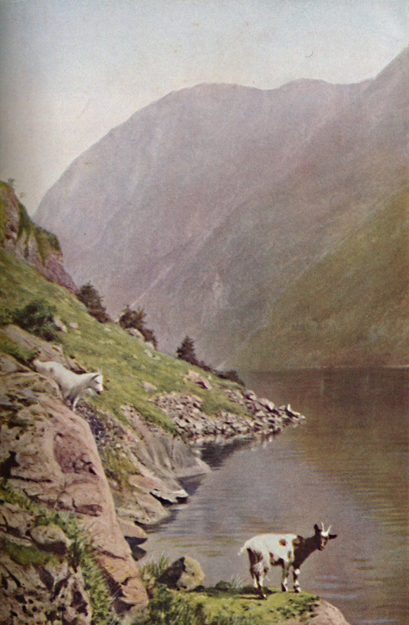 Norway, c1930s by Donald McLeish