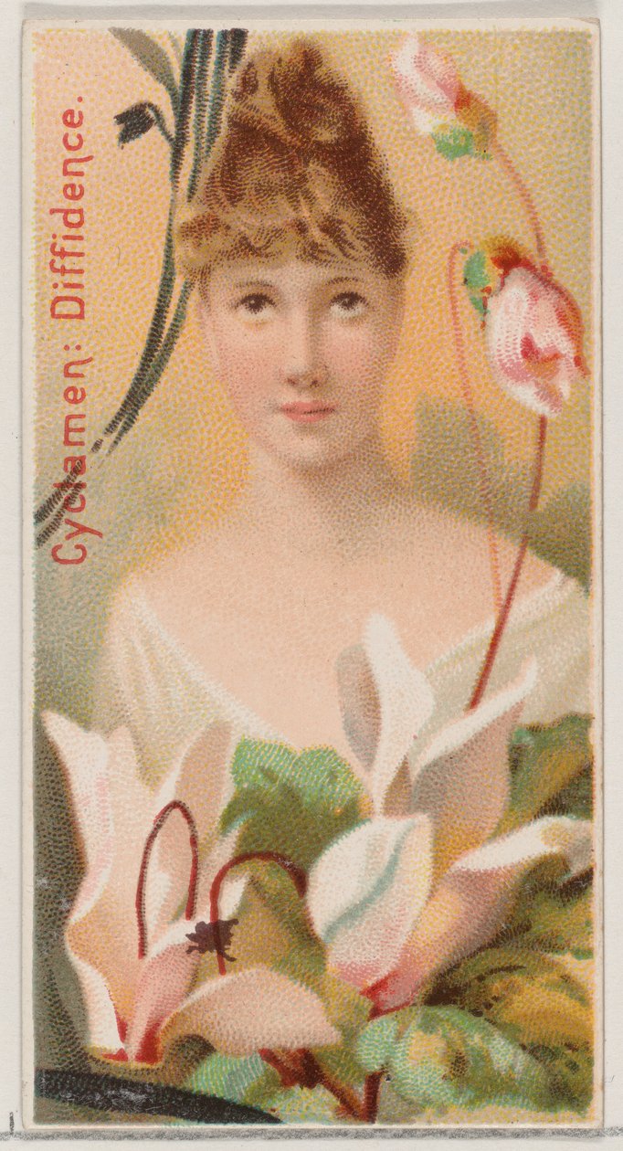 Cyclamen: Diffidence, from the series Floral Beauties and Language of Flowers N75 for Duke, 1892 by Donaldson Brothers