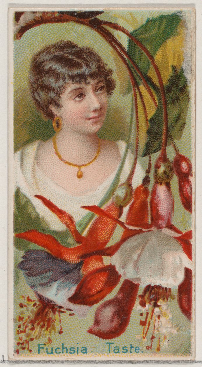 Fuchsia: Taste, from the series Floral Beauties and Language of Flowers N75 for Duke brand, 1892 by Donaldson Brothers