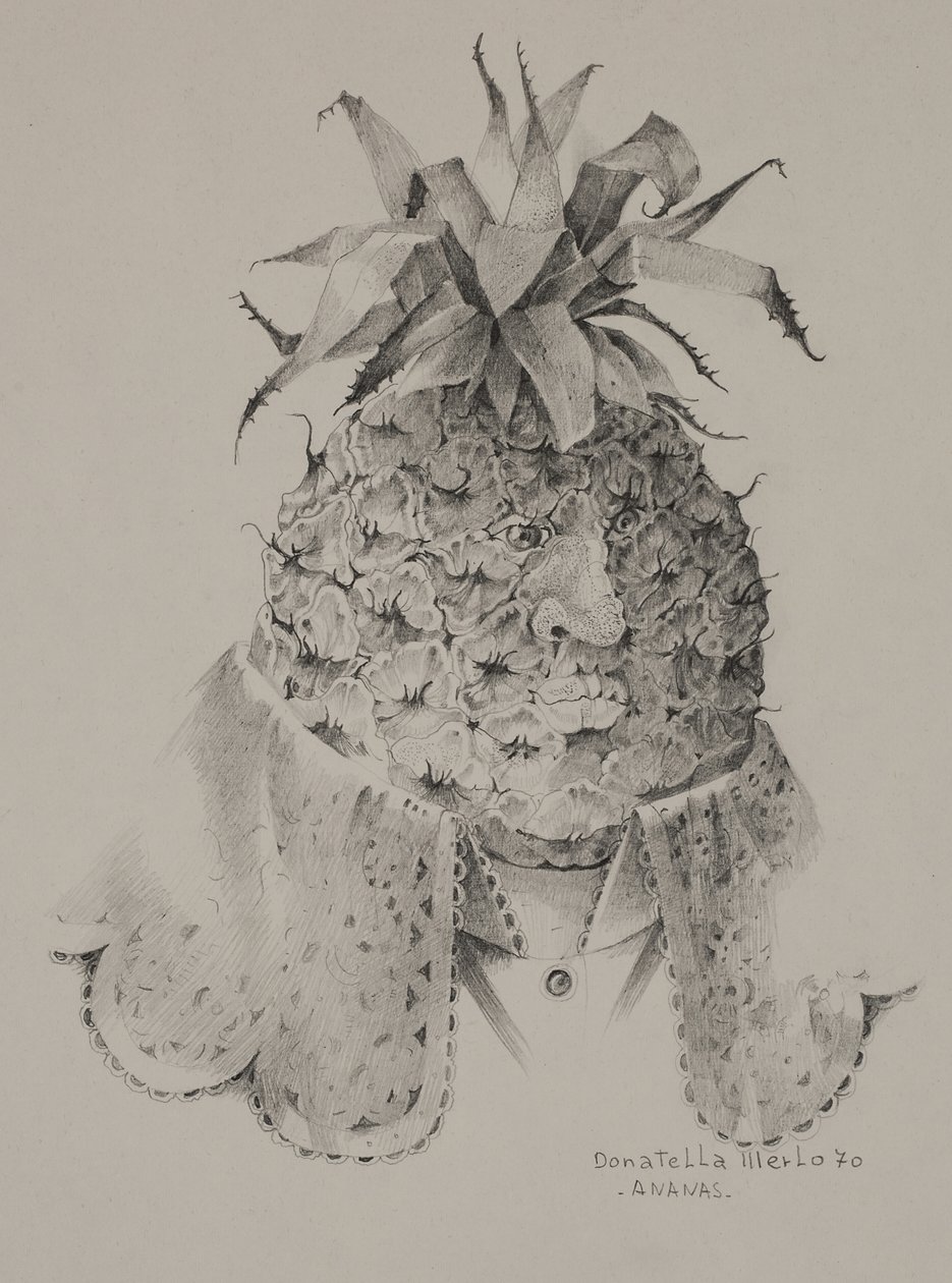 Pineapple by Donatella Merlo
