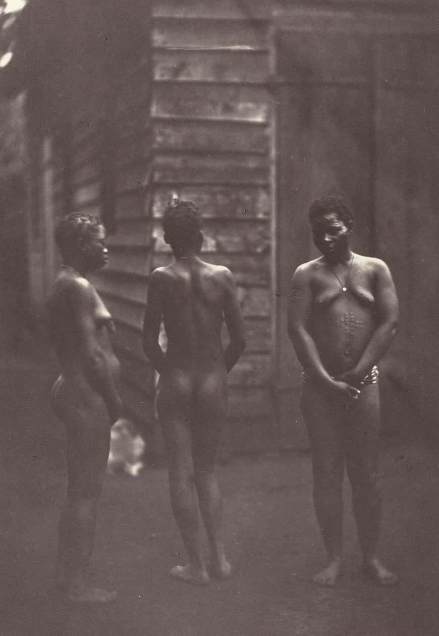 Three Malagasy Women (Plate 30) by Désiré Charnay